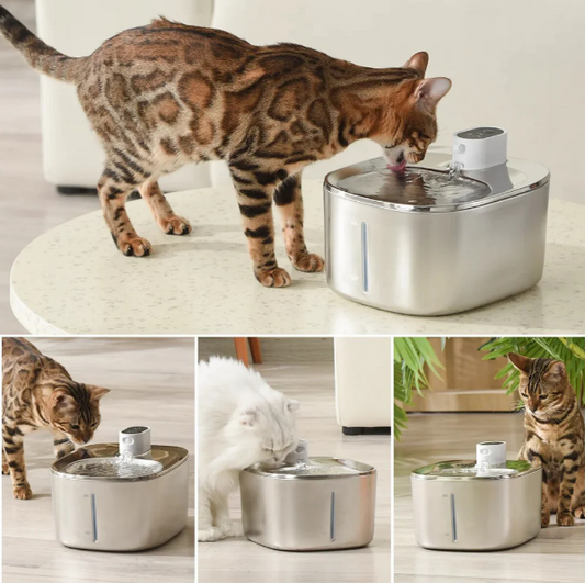 Say Goodbye to Water Bowls